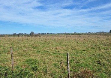 VENDO CAMPO DE 3.7 HAS EJIDO DE VILLA ELISA!!